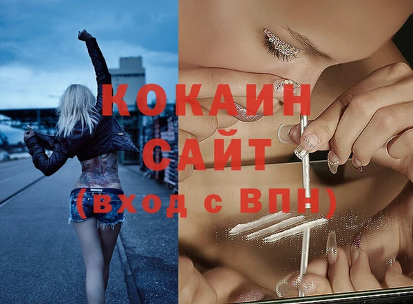 дживик Алзамай