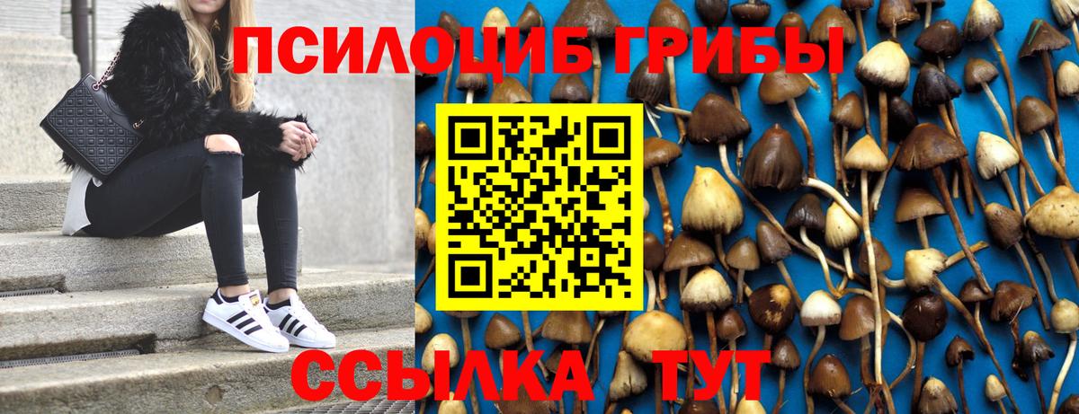 Псилоцибиновые грибы MAGIC MUSHROOMS  Вход с VPN  Минусинск 